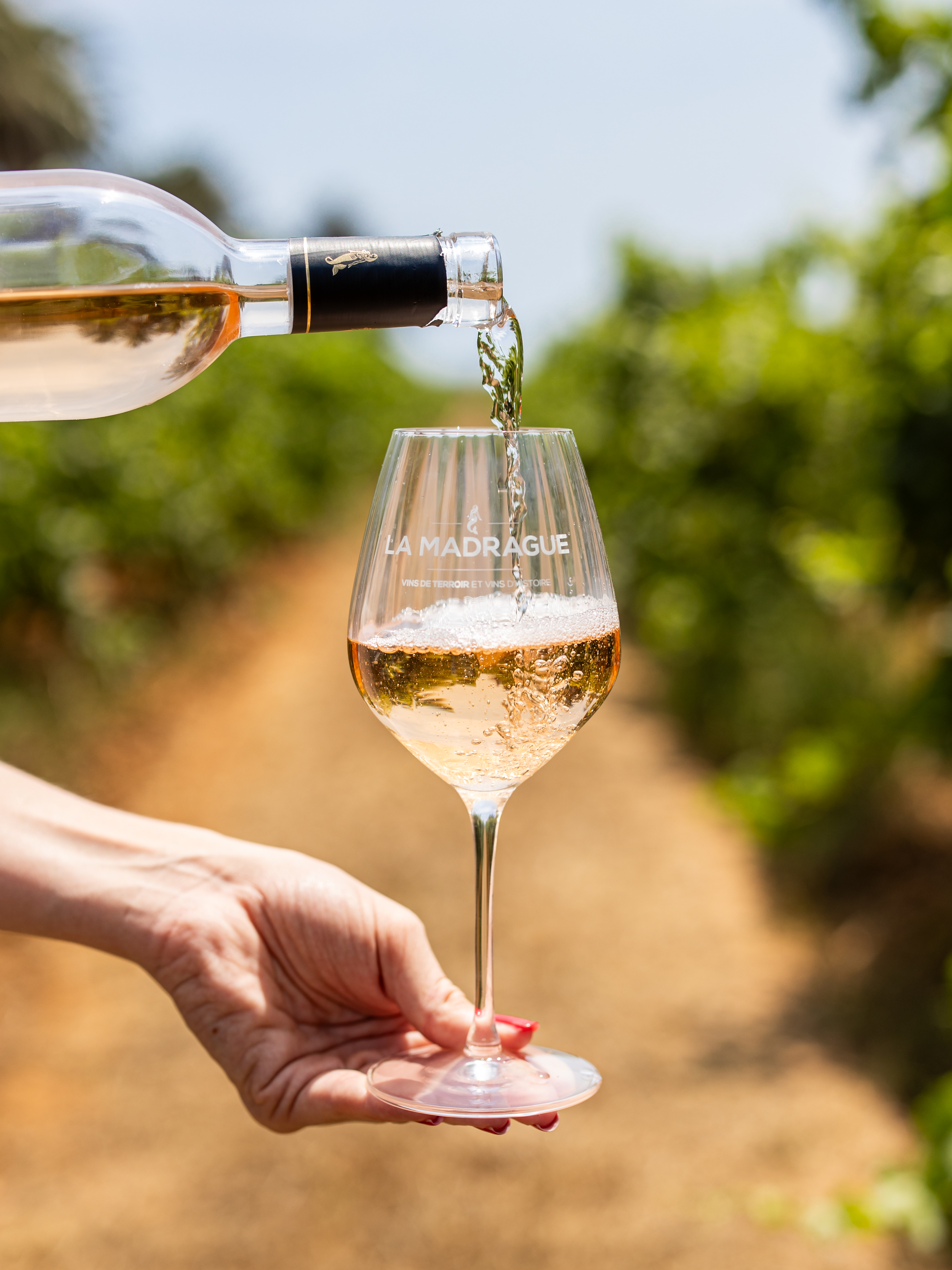 Oenotourisme au Domaine de la Madrague 