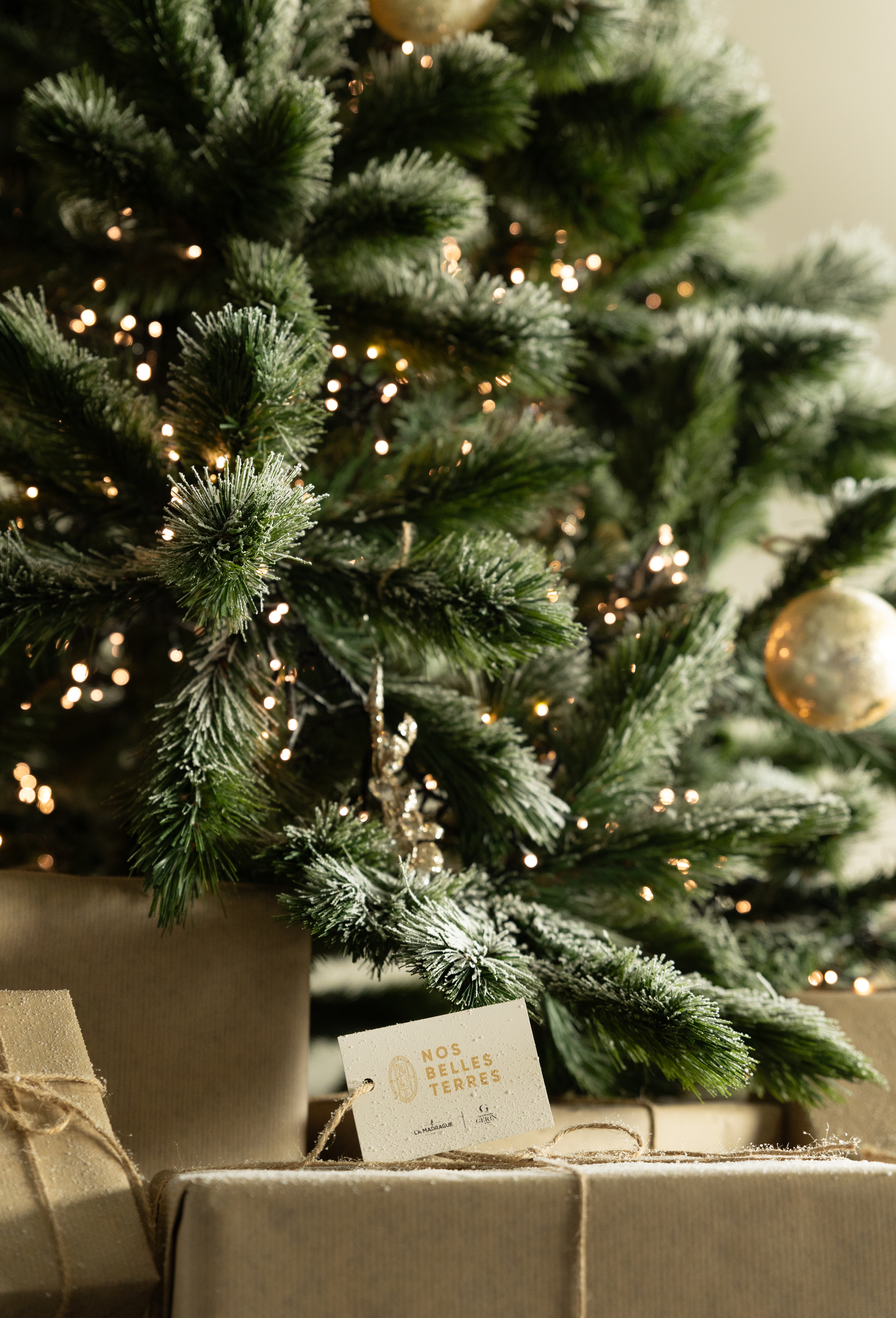 ✨ Des offres scintillantes pour les fêtes ! 🍷