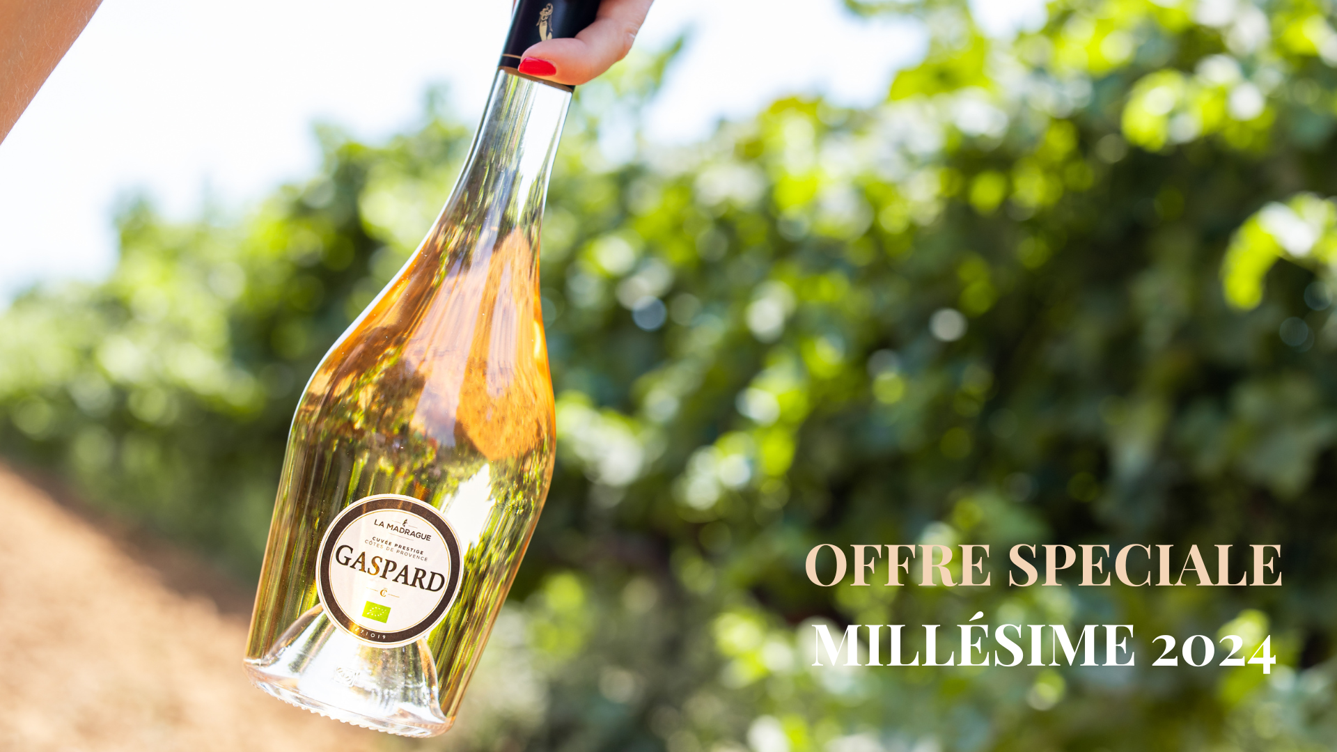 Offre spéciale Millésime 2024 