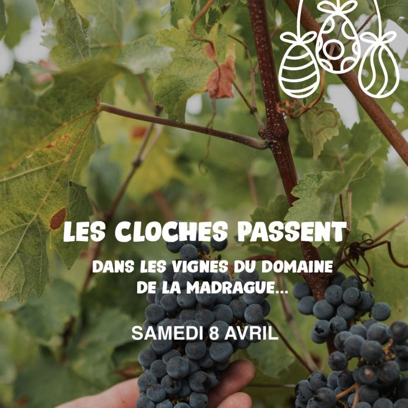 La chasse aux œufs dans l'allée des palmiers de La Madrague
