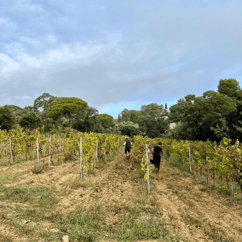 Le Domaine de La Madrague enrichit sa charte de qualité environnementale 🌱