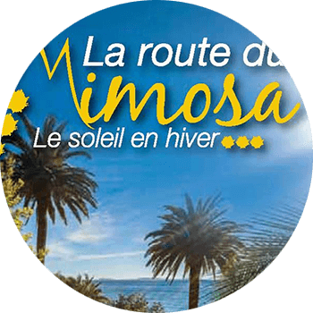 la-route-du-mimosa