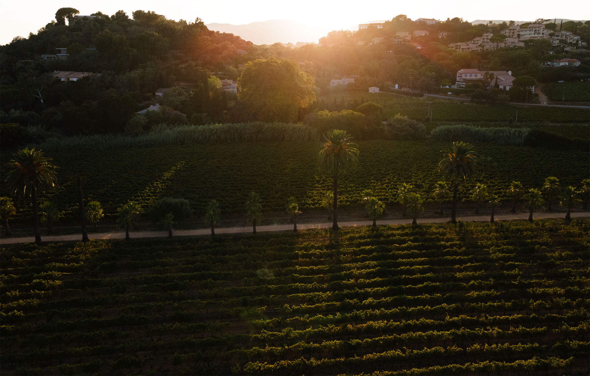 Les domaines
