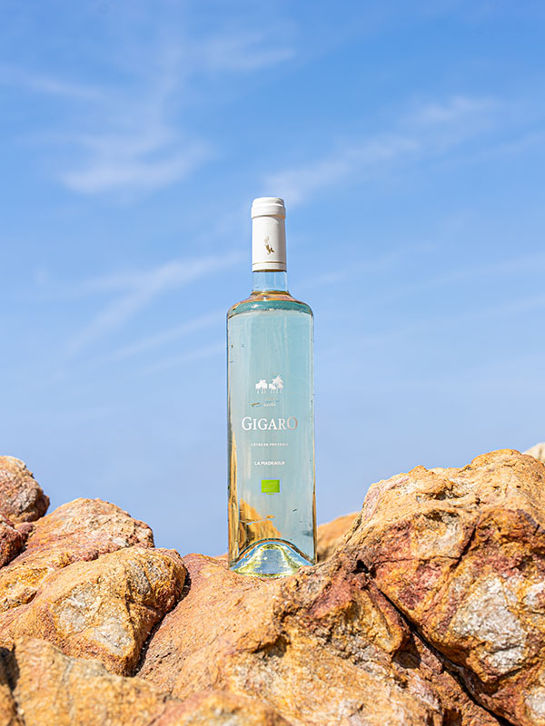 Gigaro Blanc  - 2