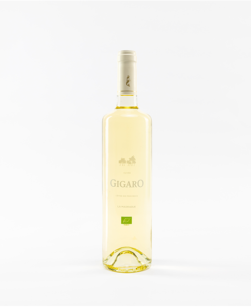 Gigaro Blanc 2024